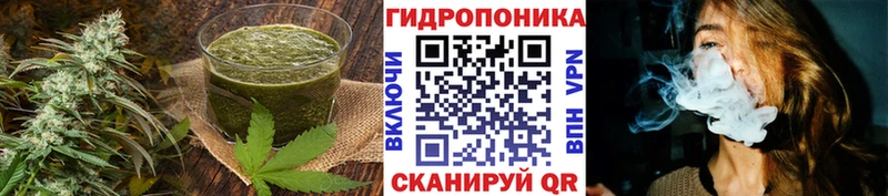 как найти закладки  Белокуриха  Cannafood марихуана 