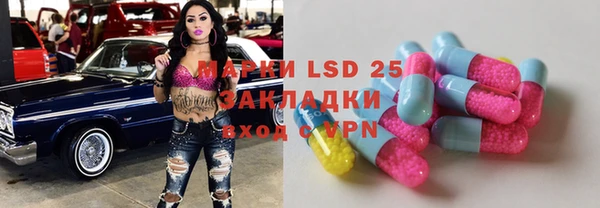 шишки Баксан