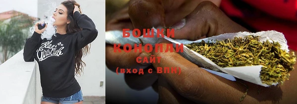 PSILOCYBIN Балахна