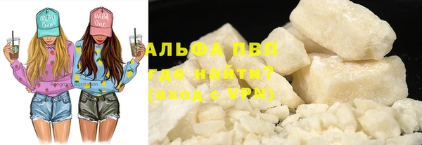 PSILOCYBIN Балахна