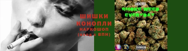 шишки Баксан