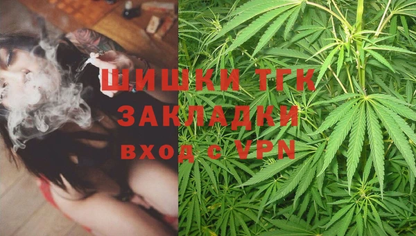 Альфа ПВП Ростов