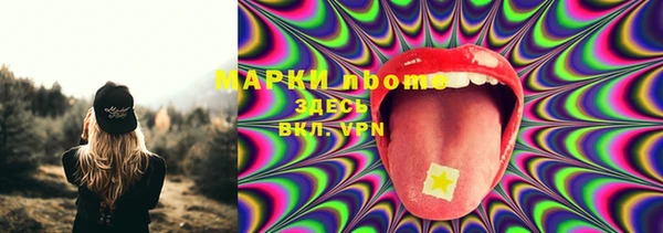 шишки Баксан
