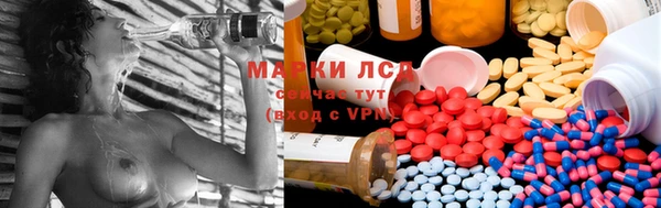 PSILOCYBIN Балахна